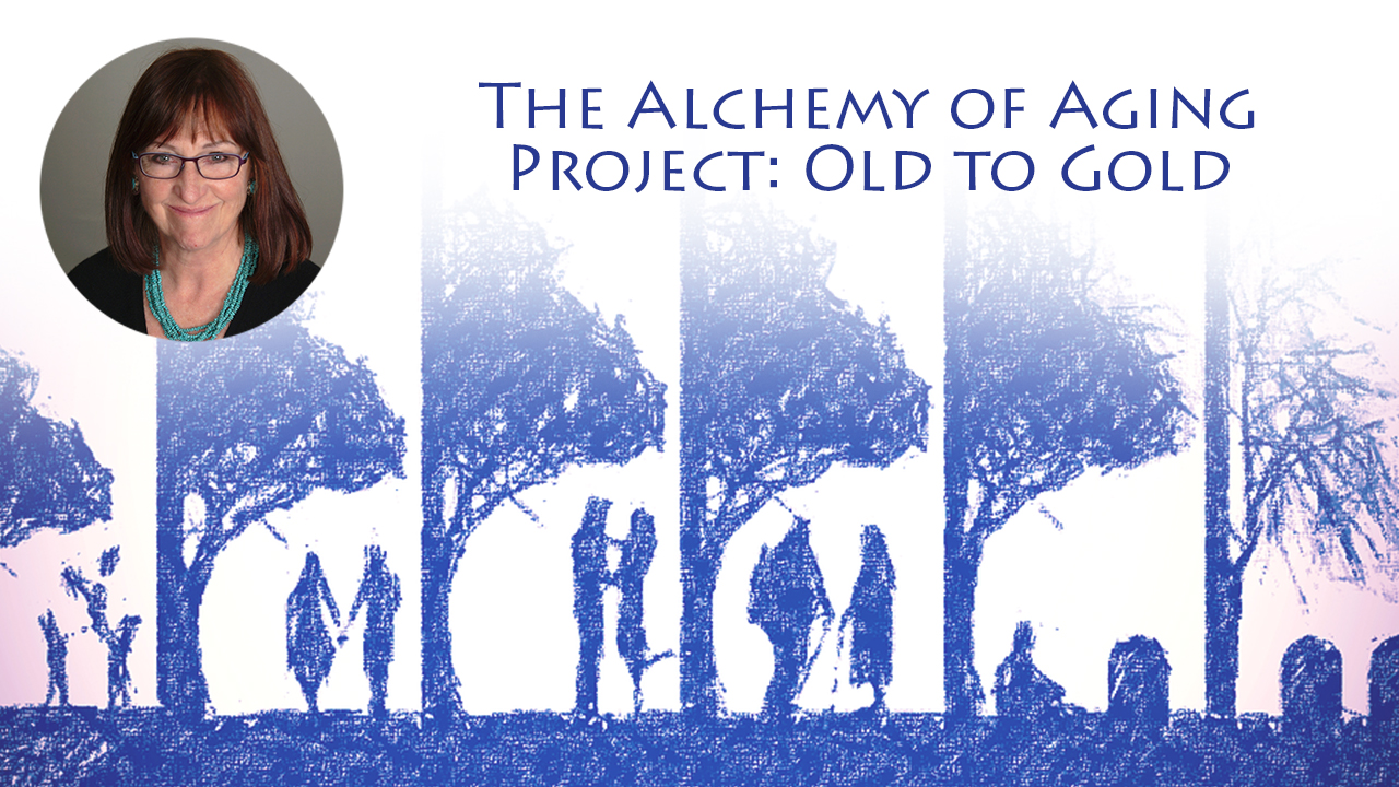 The Alchemy of Aging Project